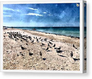 Seashore Symphony - Canvas Print