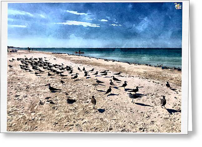 Seashore Symphony - Greeting Card