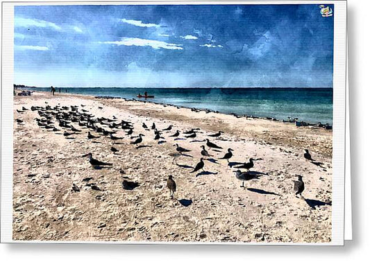 Seashore Symphony - Greeting Card