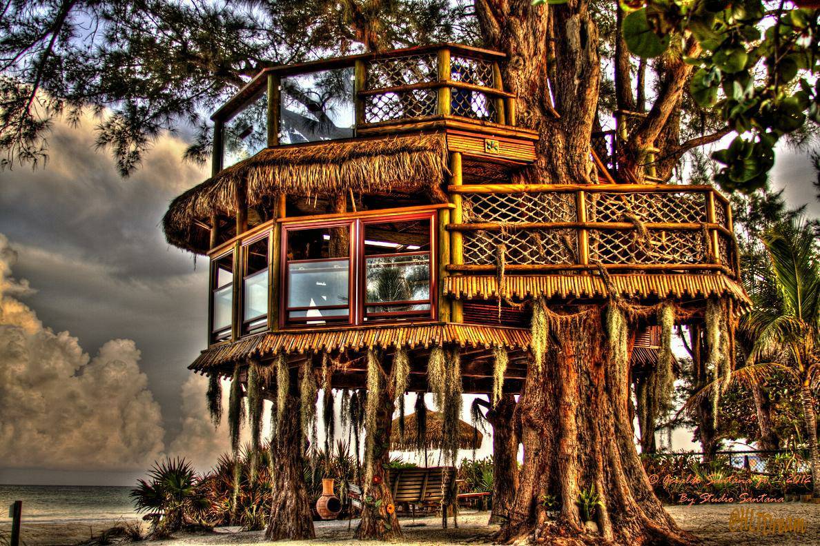 Work of Art: Beach treehouse on Anna Maria Island
