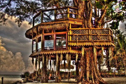 Beach Treehouse at Dawn - Wood Print