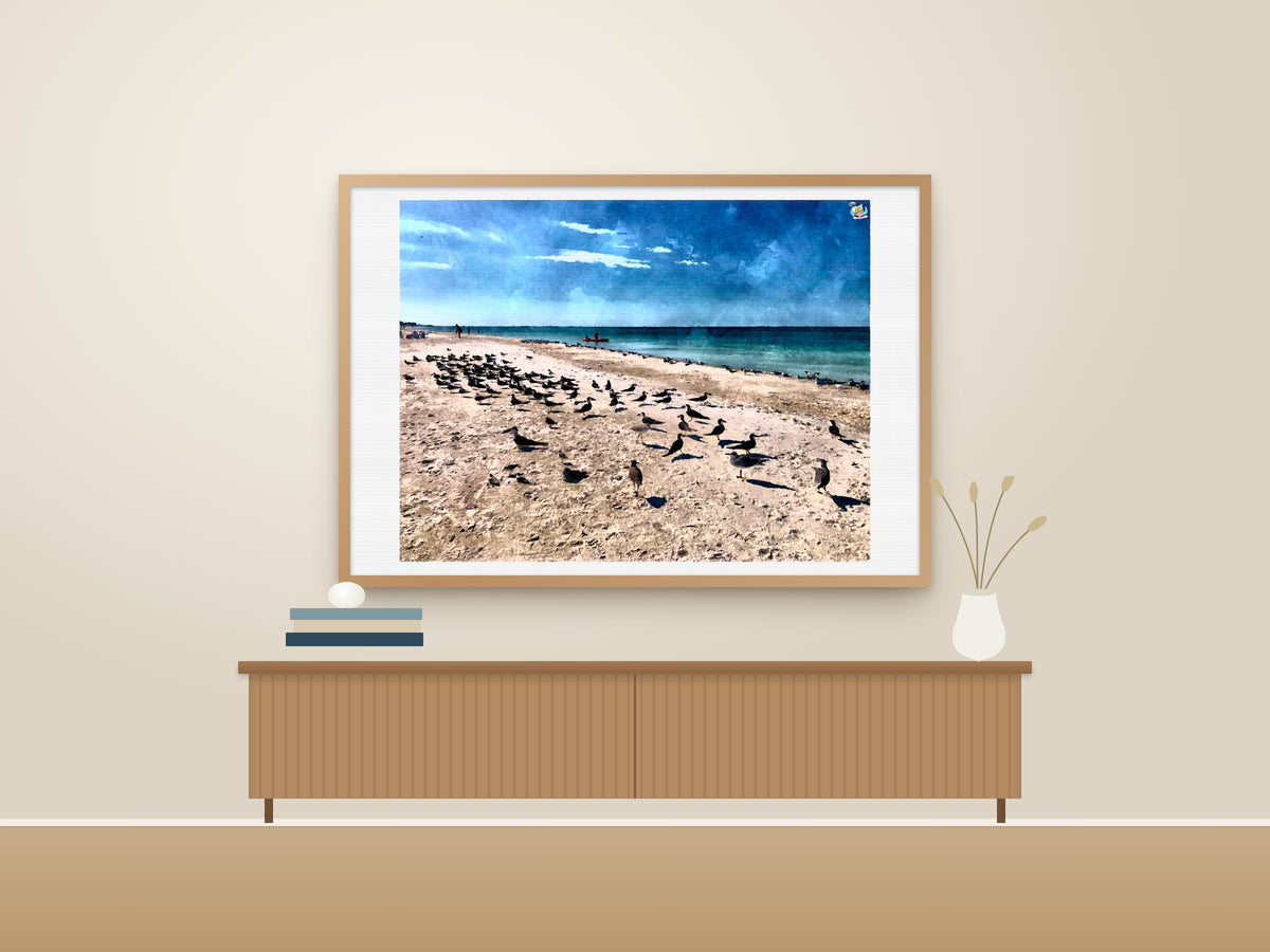 Seashore Symphony | Skimmers of Anna Maria Island | Digital Download