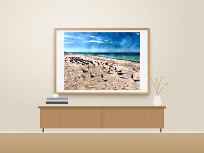 Seashore Symphony | Skimmers of Anna Maria Island | Digital Download