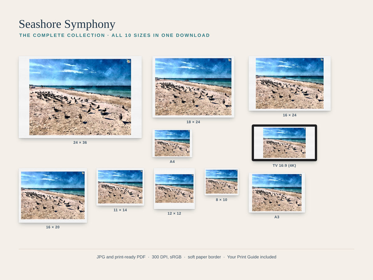 Seashore Symphony | Skimmers of Anna Maria Island | Digital Download