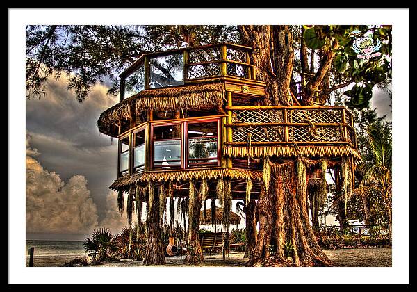 Beach Treehouse at Dawn - Framed Print