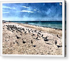 Seashore Symphony - Acrylic Print