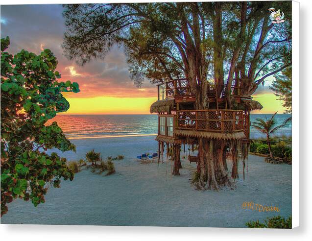 Sunset at Beach Treehouse - Canvas Print