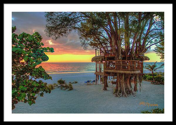 Sunset at Beach Treehouse - Framed Print