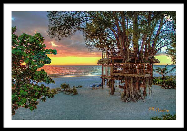 Sunset at Beach Treehouse - Framed Print